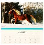 2012 Horse Calendar