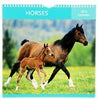 2012 Horse Calendar